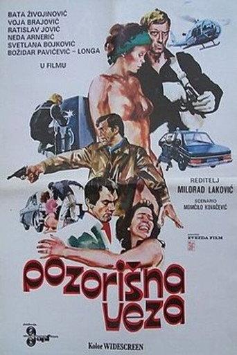 The Theatre Connection (1980) poster