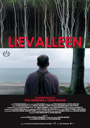 Lievalleen (2001) poster