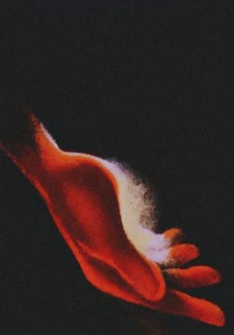 Chopin (2008) poster