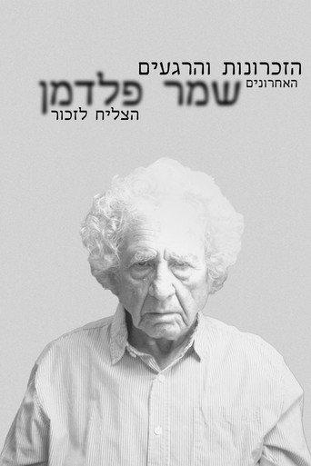 The Final Moments and Memories Mr. Feldman Could Remember () poster