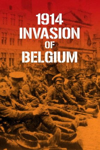 1914 invasion of Belgium (2014) poster