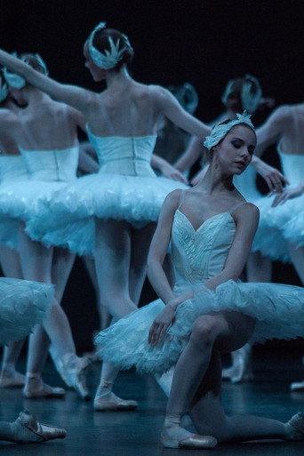 Swan Lake - The Australian Ballet () poster
