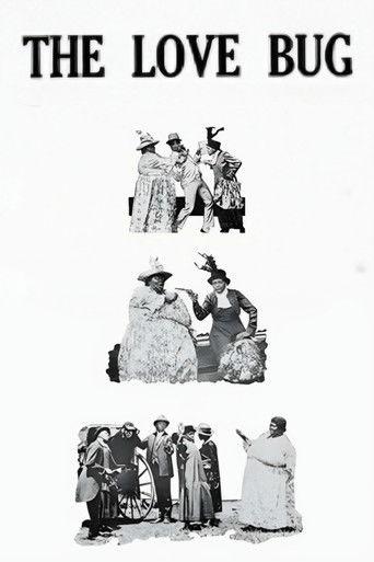 The Love Bug (1919) poster