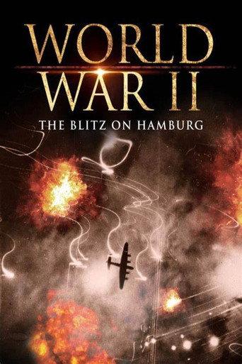 World War II: The Blitz on Hamburg (2009) poster