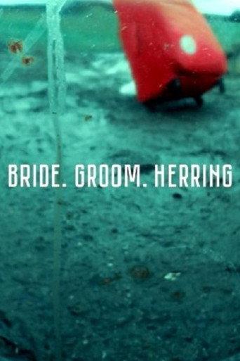 Bride. Groom. Herring (2020) poster
