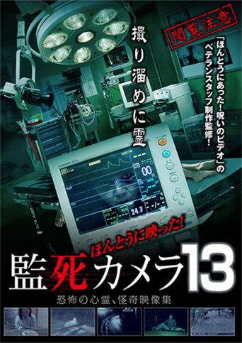 Paranormal Surveillance Camera 13 (2015) poster