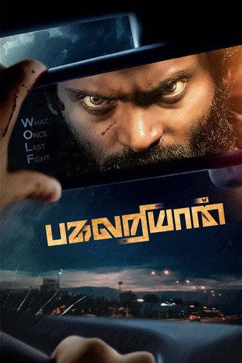Pagalariyaan (2024) poster