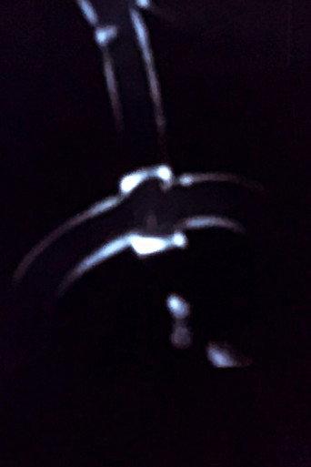 Écritures (1999) poster
