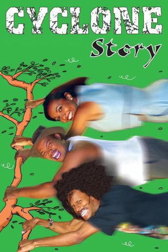 Cyclone Story (2002) poster