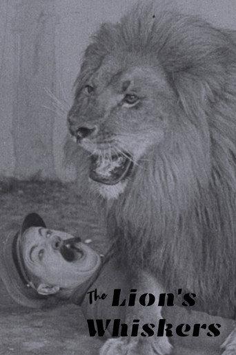 The Lion's Whiskers (1925) poster