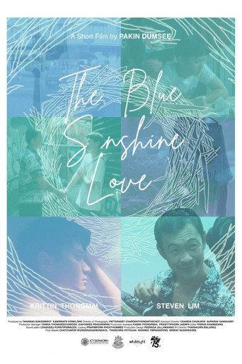 The Blue Sunshine Love () poster