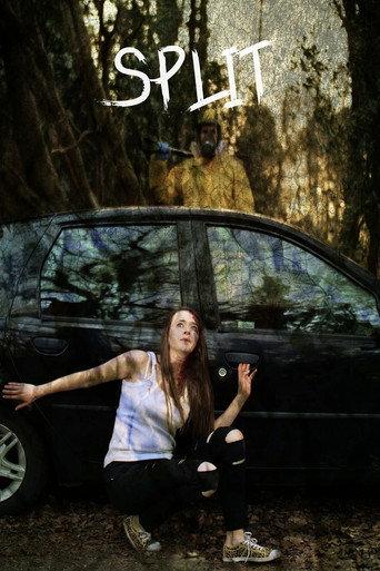Split (2021) poster