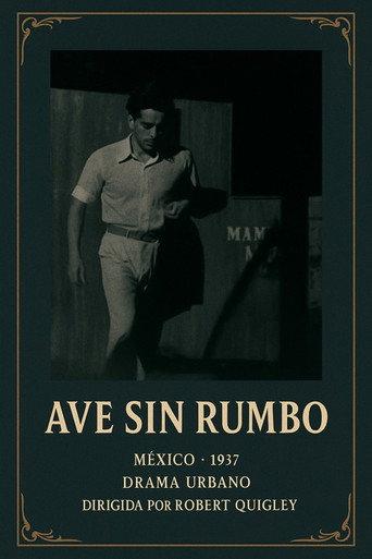 Ave sin rumbo (1937) poster