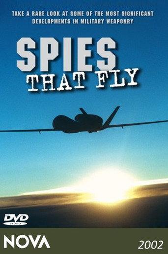 Spies That Fly (2003) poster