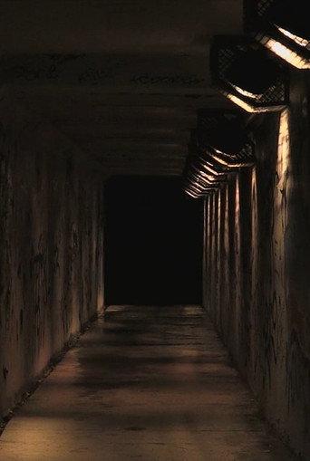 Anonymes (2015) poster