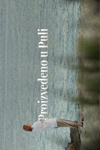 Made in Pula (2022) poster