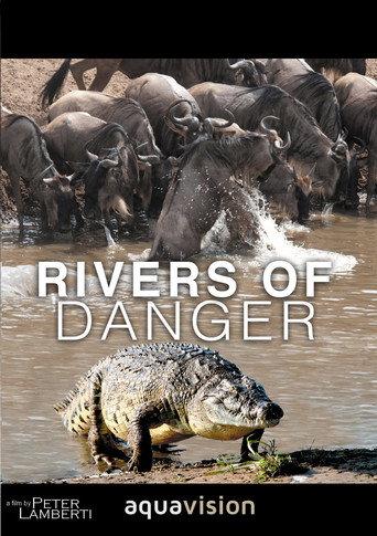 Rivers of Danger (2004) poster