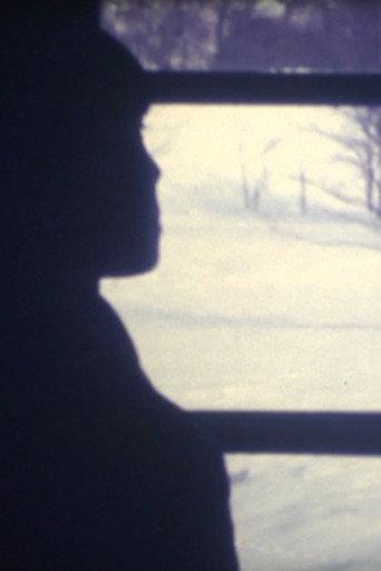 Winter has a dream (2008) poster