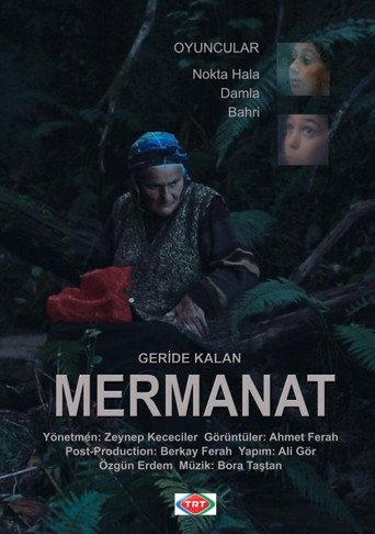 Geriye Kalan... Mermanat (2015) poster