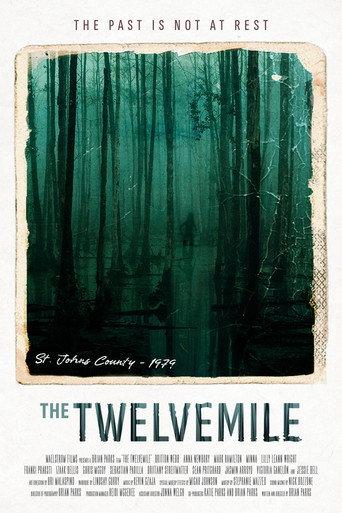 The Twelvemile () poster