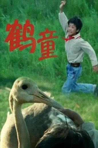 鹤童 () poster