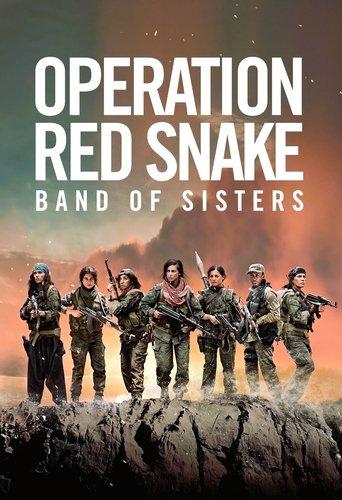 Sisters in Arms (2019) poster