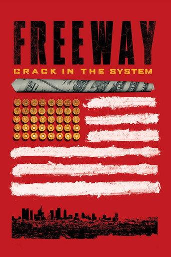 Freeway: Crack in the System (2014) poster