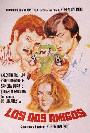 Los dos amigos (1980) poster