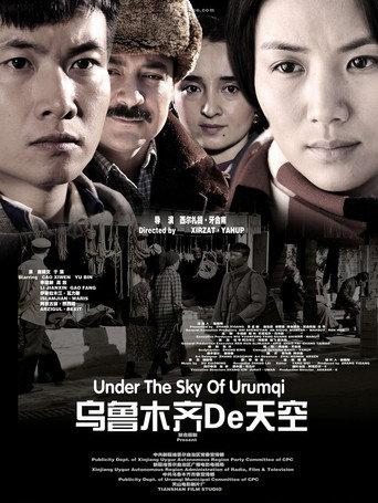 乌鲁木齐的天空 (2011) poster