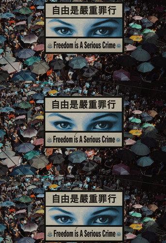 Freedom Is A Serious Crime (2020) poster