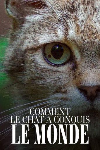 Comment le chat a conquis le monde (2020) poster