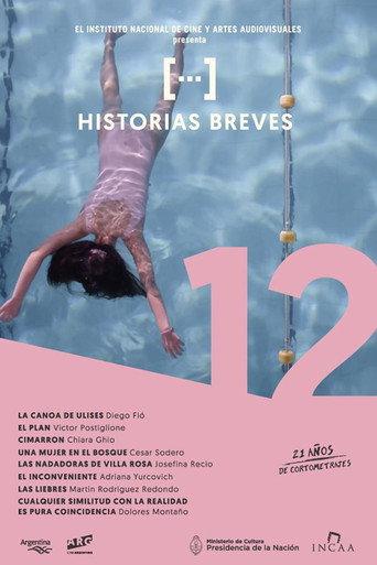 Historias breves 12 (2016) poster