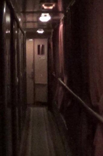 Train (2022) poster