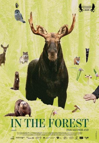 In the Forest (2025) poster