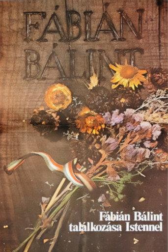 Bálint Fábián Meets God (1980) poster
