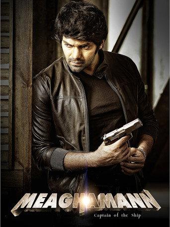 Meaghamann (2014) poster