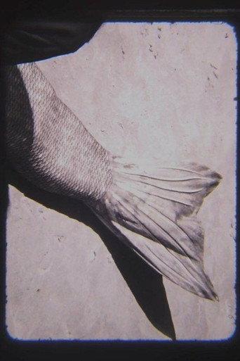 MER (2023) poster