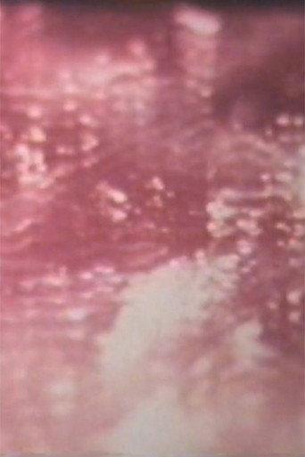 Desert in Sunlight (1969) poster