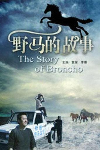 野马的故事 (2011) poster
