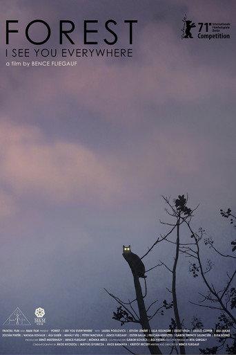 Forest: I See You Everywhere (2022) poster