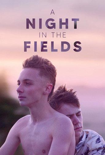 A Night in the Fields (2020) poster