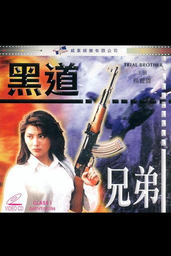 Bloody Brothers (1987) poster