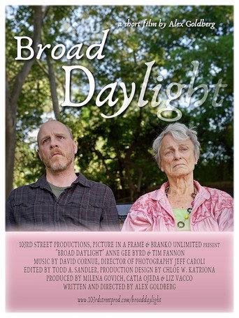 Broad Daylight (2024) poster