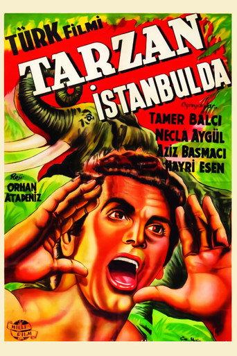 Tarzan in Istanbul (1952) poster