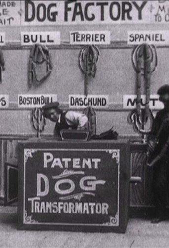 Dog Factory (1904) poster