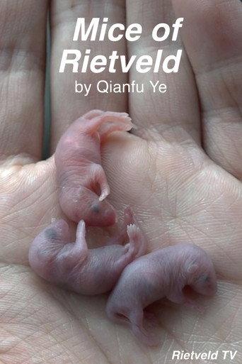 Mice of Rietveld (2019) poster