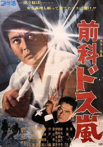 Ex Convict: Sword Storm (1969) poster
