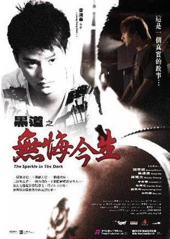 The Sparkle in the Dark (2007) poster