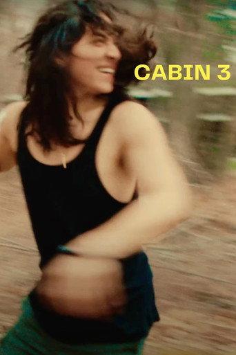 CABIN 3 () poster