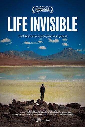 Life Invisible (2025) poster